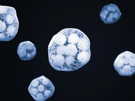Viruses, bacteria, allergens
