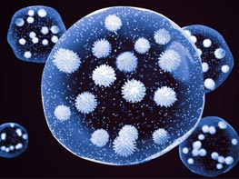 Spread of viruses, bacteria and allergens