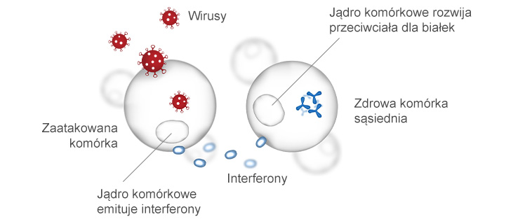 Geny zapobiegają wirusom